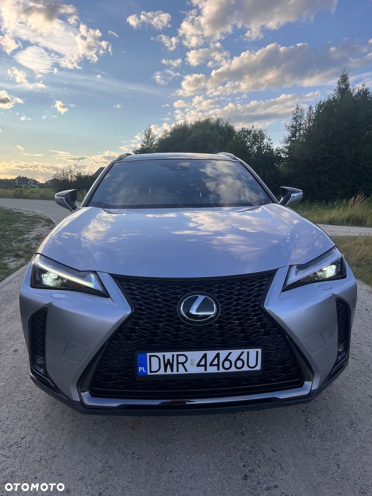 Lexus UX 250h GPF F Sport Design 2WD - 19