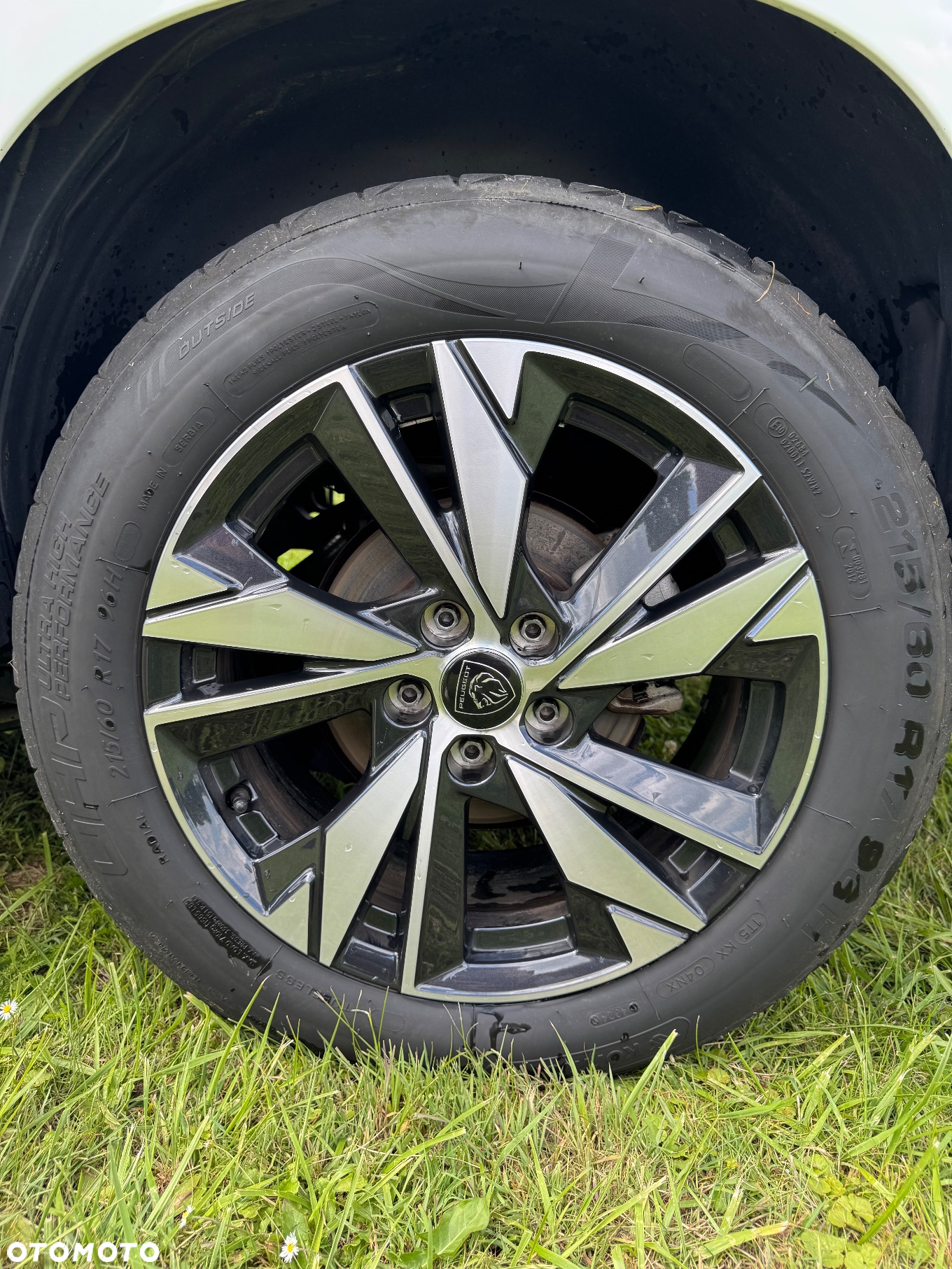Peugeot Partner 1.5 BlueHDI S&S L2 (bryg.) - 10