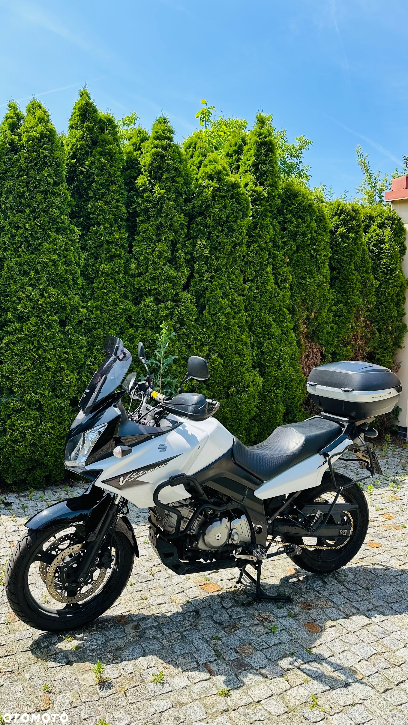 Suzuki DL - 5