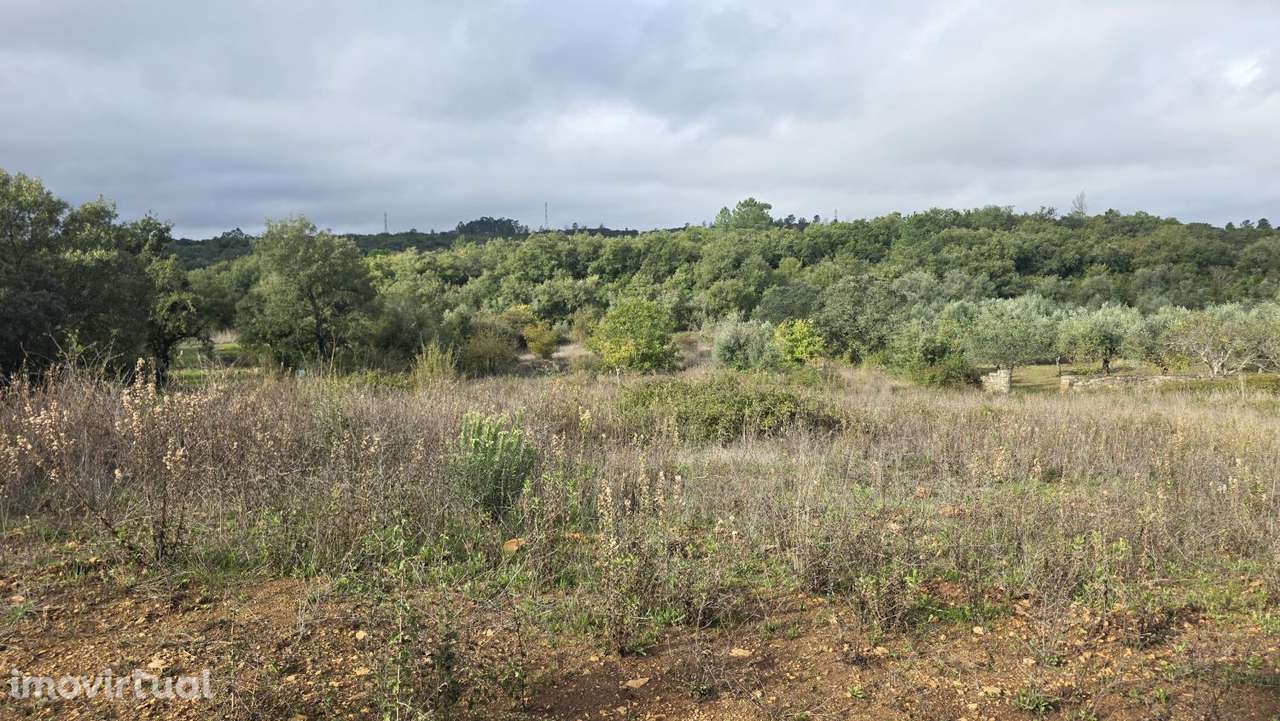 Terreno 18.800 m2, pequeno lago, com potencial para pomar ou agricultu - Grande imagem: 3/25
