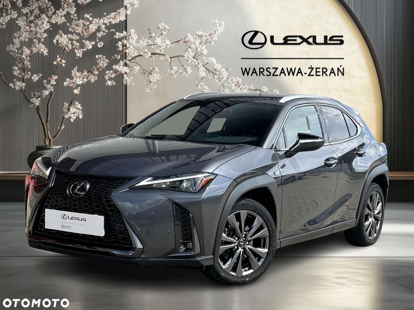 Lexus UX 250h GPF F Sport Design 2WD - 2