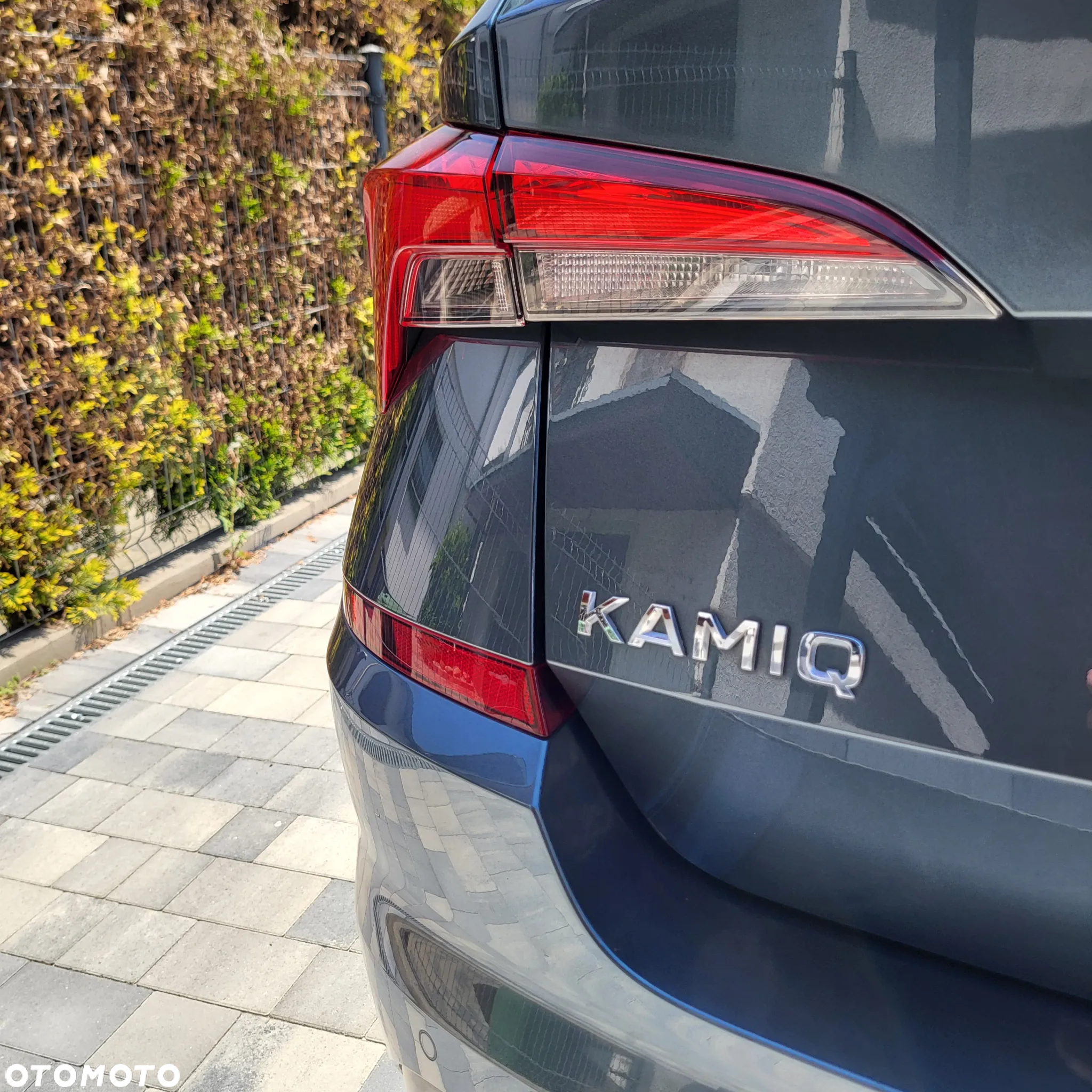 Skoda Kamiq 1.0 TSI Ambition - 16