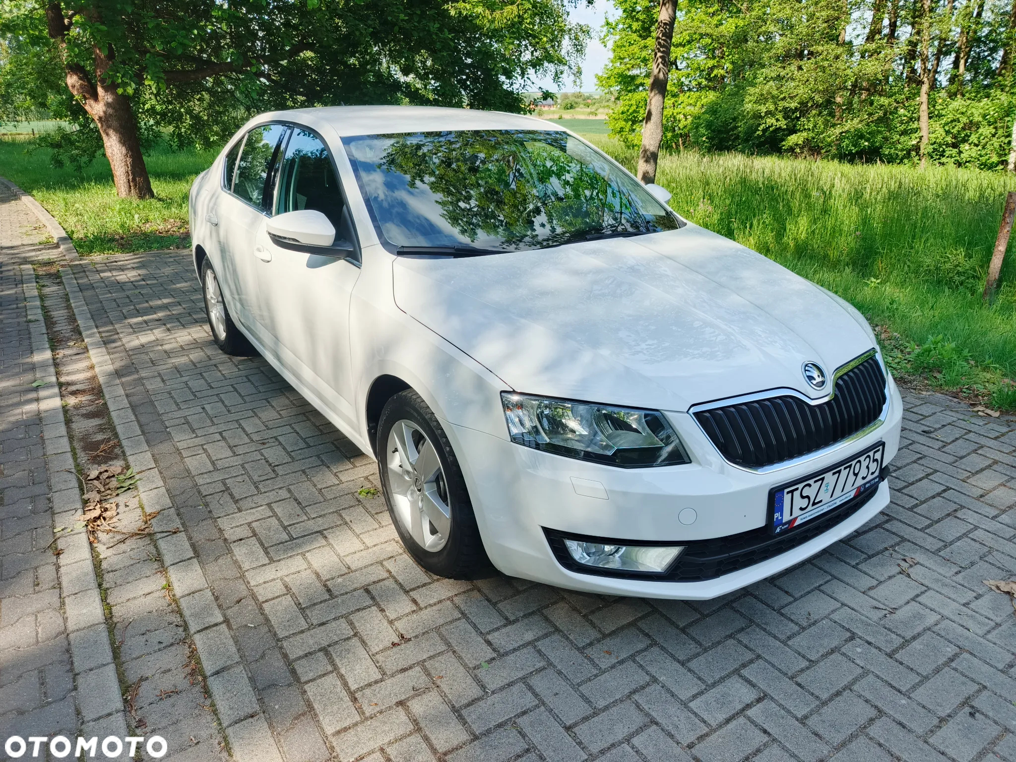 Skoda Octavia 1.6 TDI Greenline - 2
