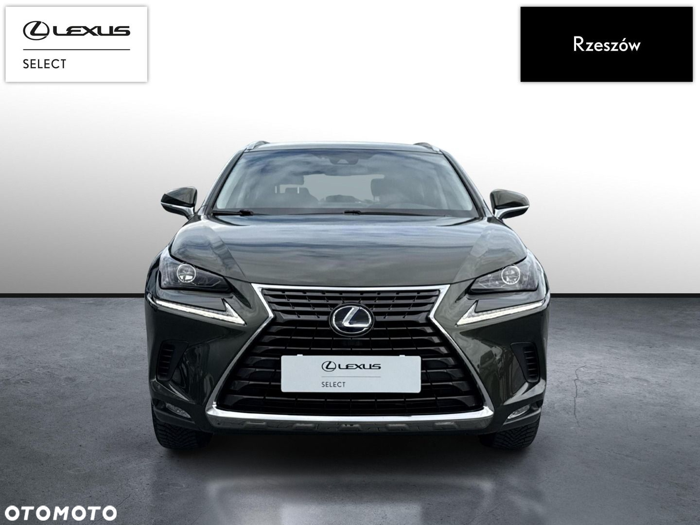 Lexus NX - 8