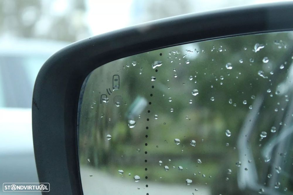 Renault Scénic - 33