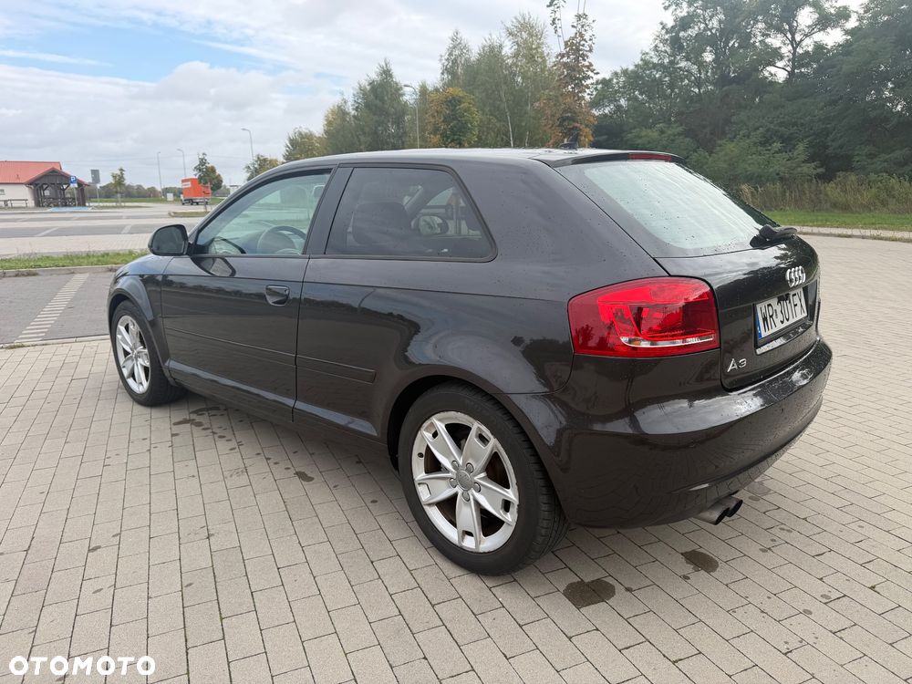 Audi A3 3-drzwiowe 1.9 TDI S Line Sportpaket plus - 10