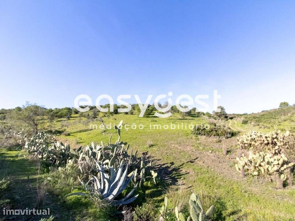 Lote de Terreno Rustico para cultura de sequeiro nas Fontainhas - Grande imagem: 2/14