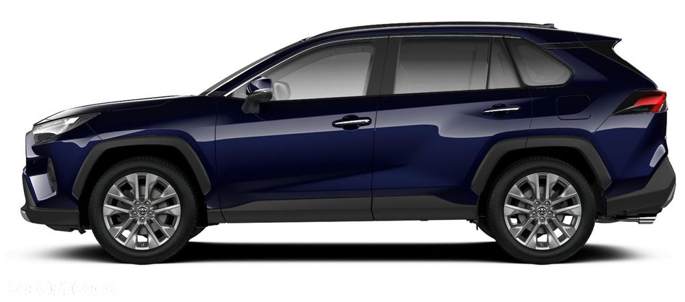 Toyota RAV4 2.5 Hybrid Executive 4x2 - 2