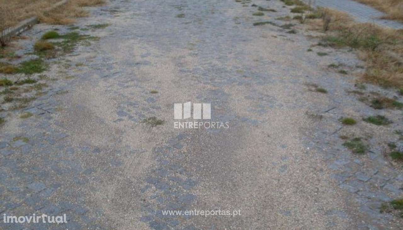 Venda Lote, Grilo, Baião - Grande imagem: 2/30