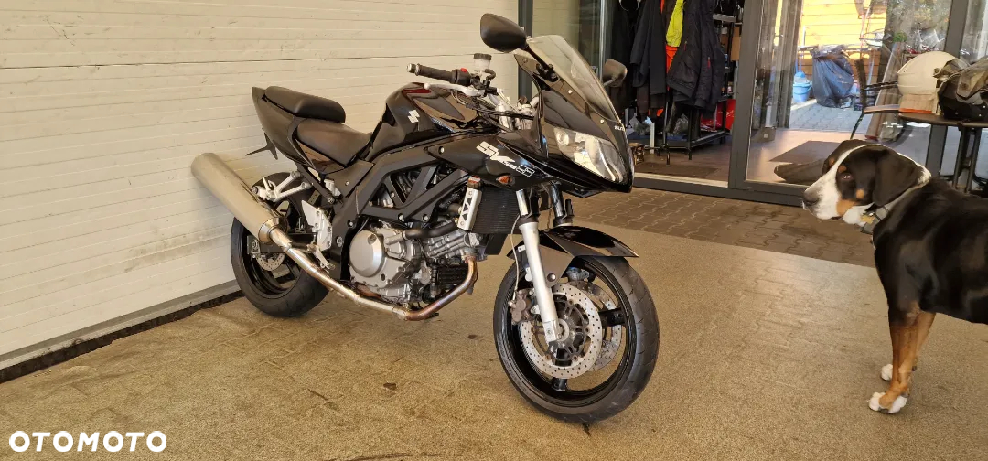 Suzuki SV - 11