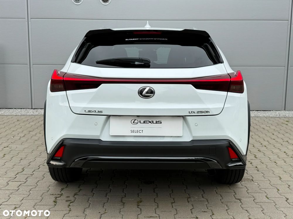Lexus UX 250h GPF F Sport Design+ 2WD - 15
