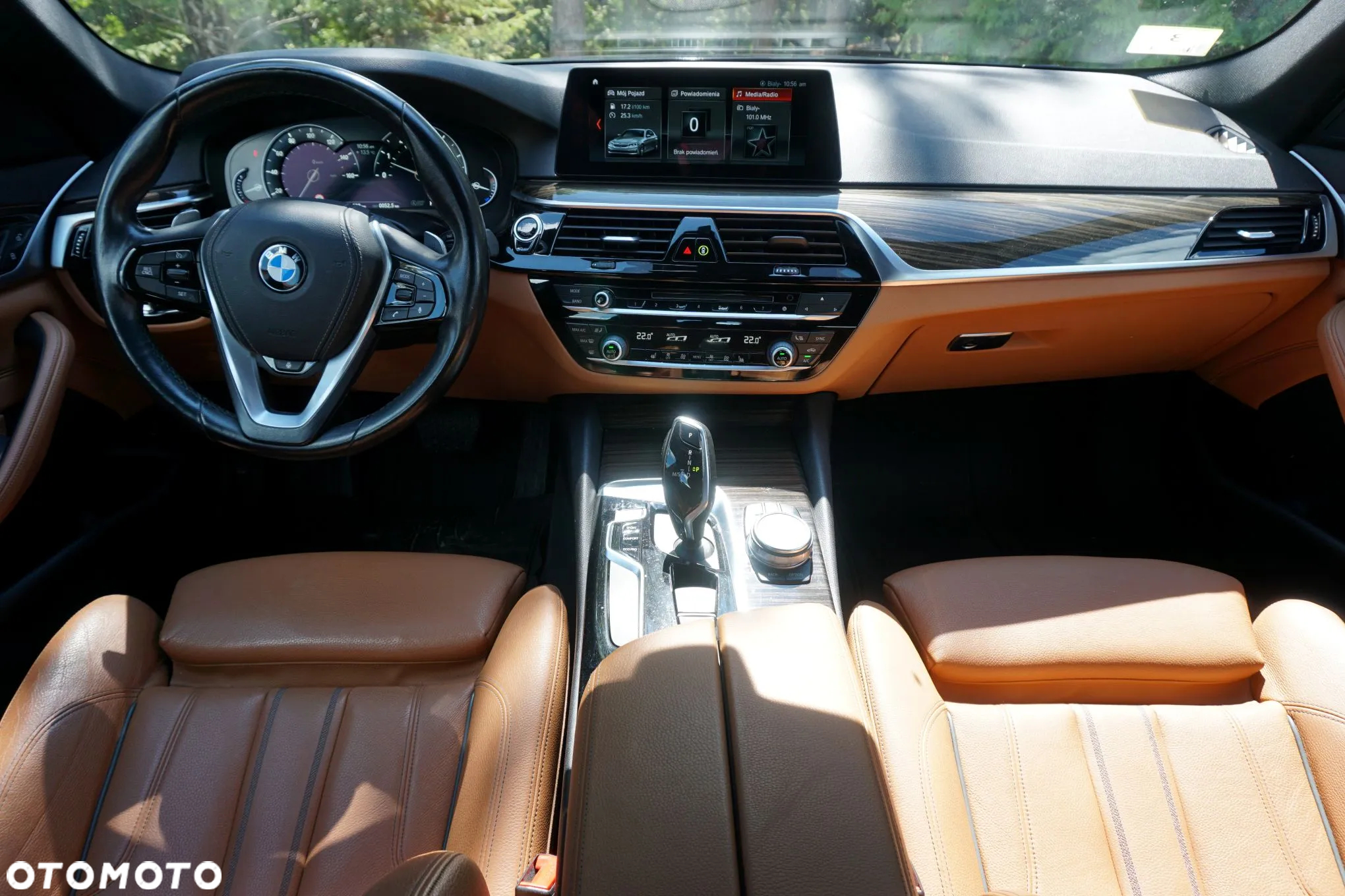 BMW Seria 5 530i xDrive Luxury Line sport - 27