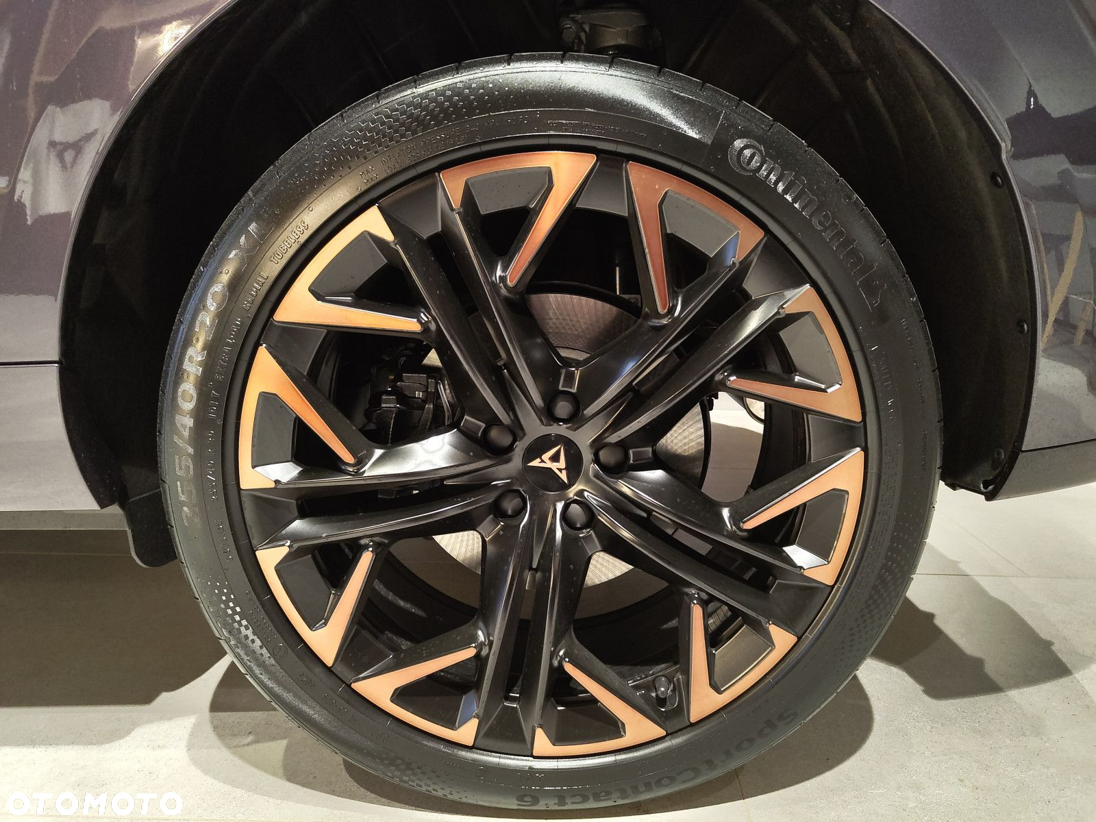 Cupra Terramar - 9