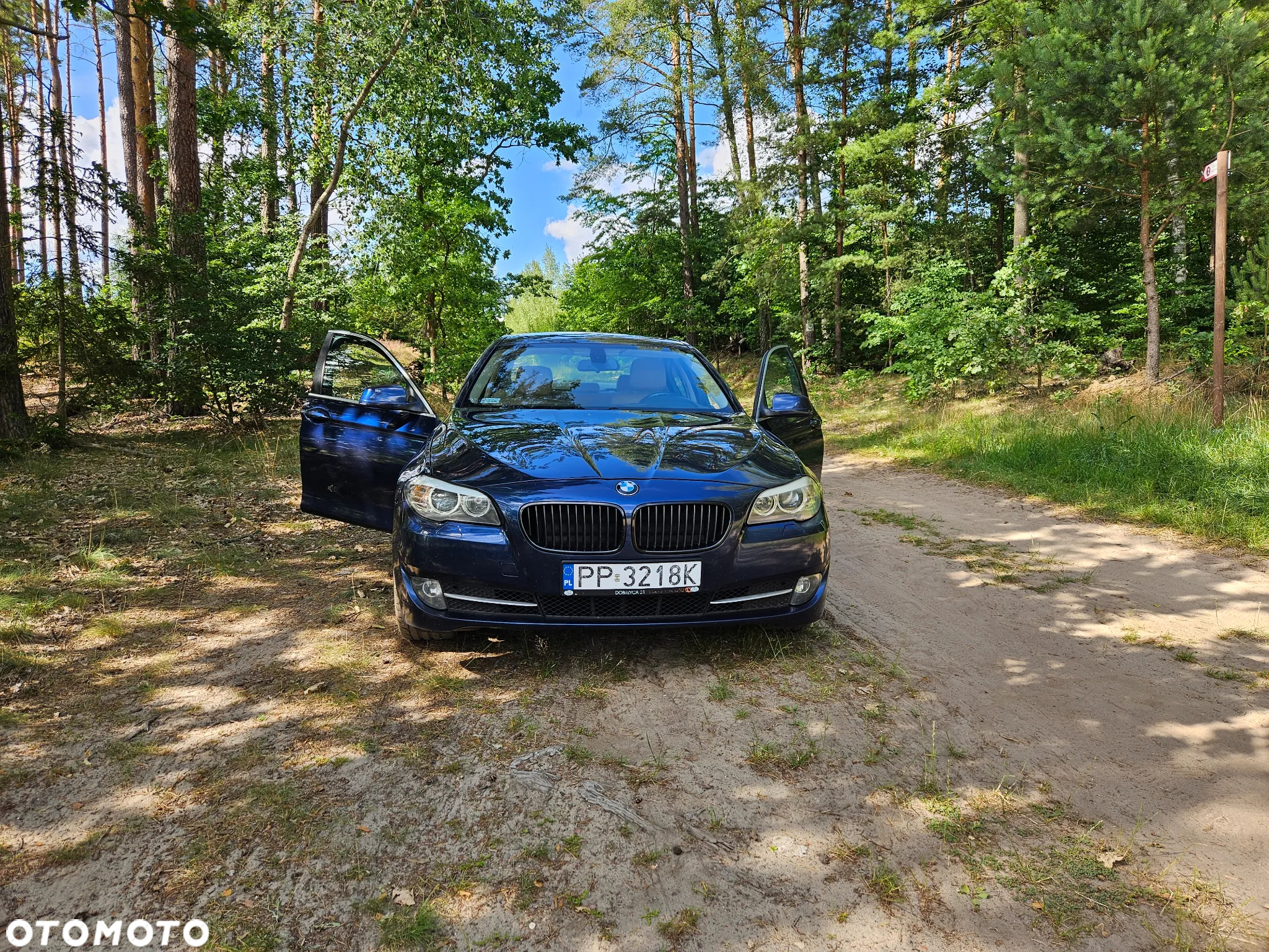 BMW Seria 5 520d - 12