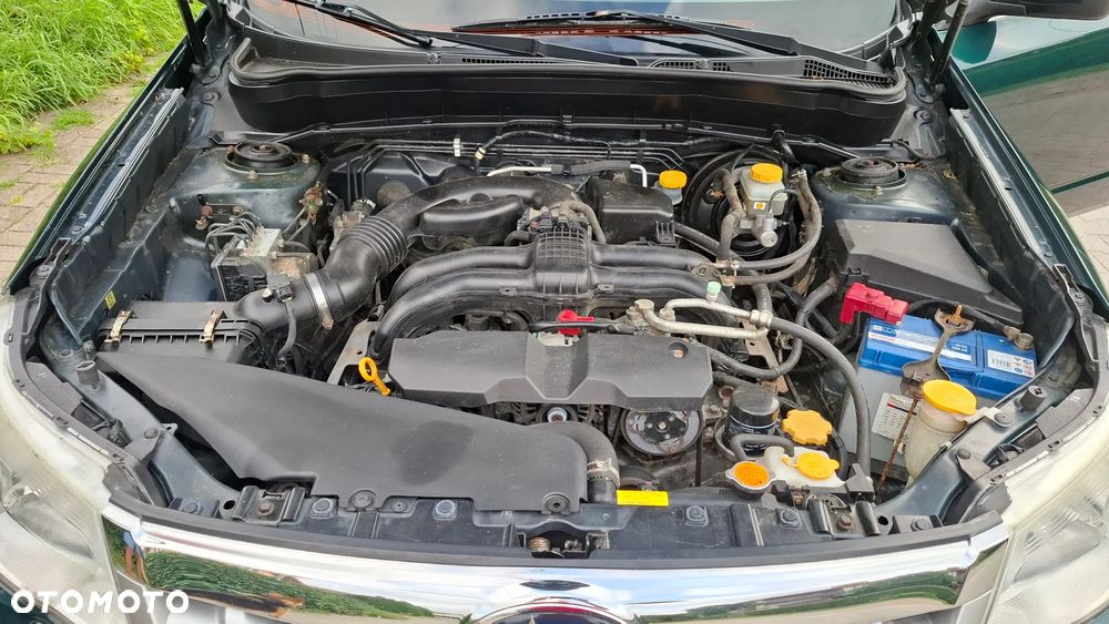 Subaru Forester - 17