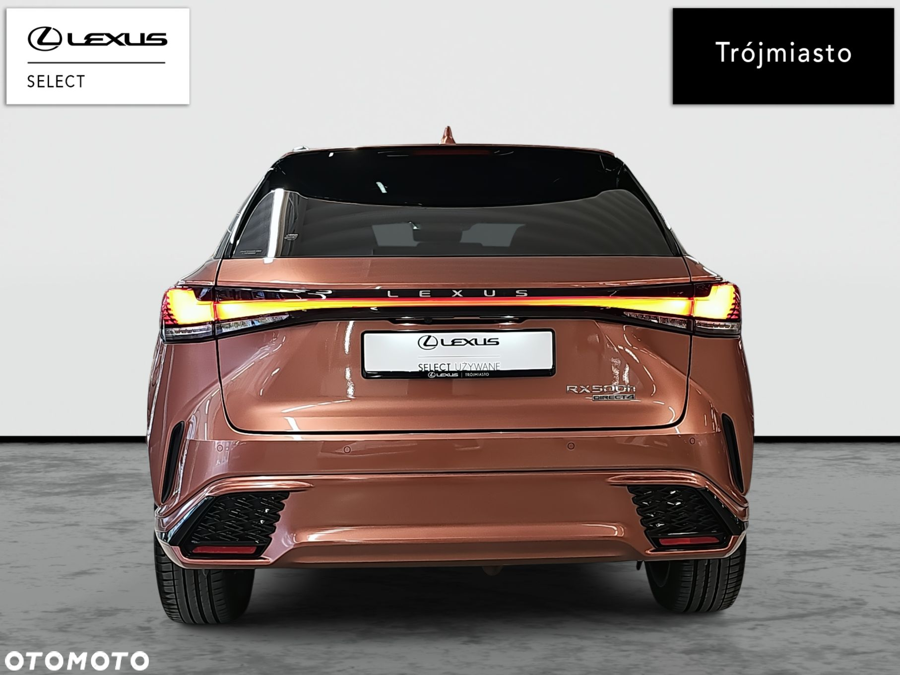 Lexus RX - 6