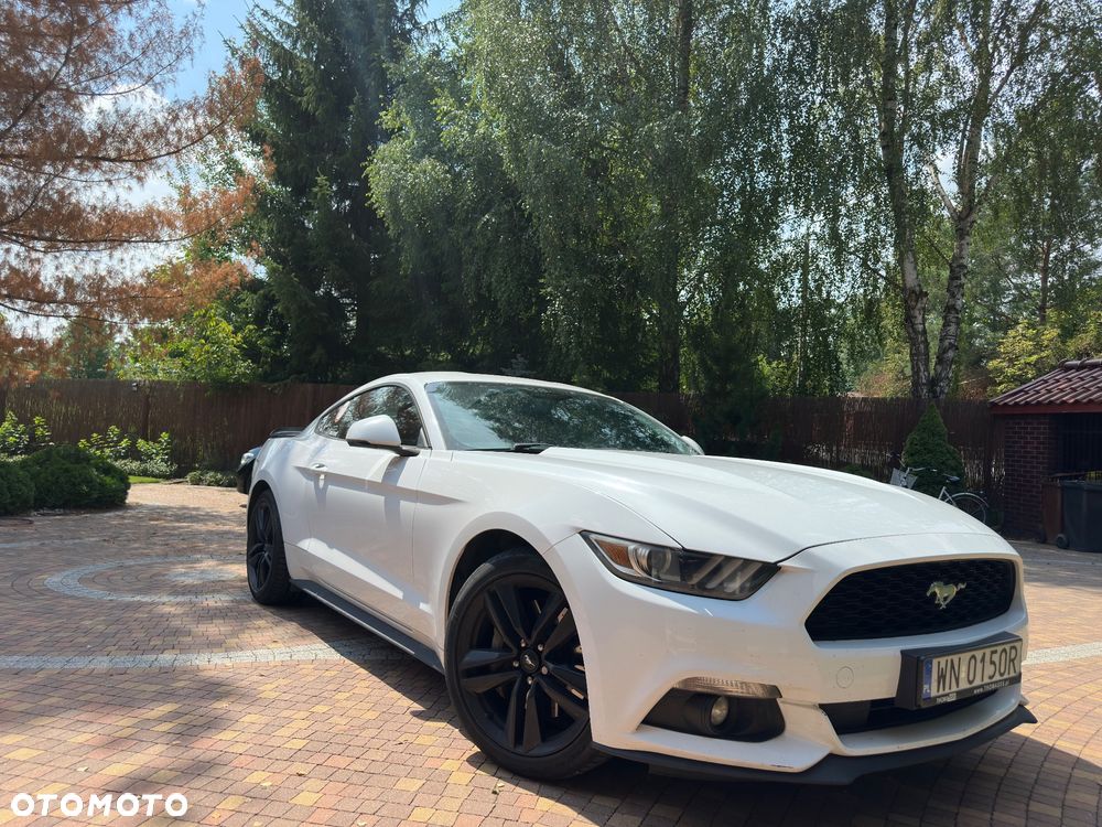Ford Mustang - 1