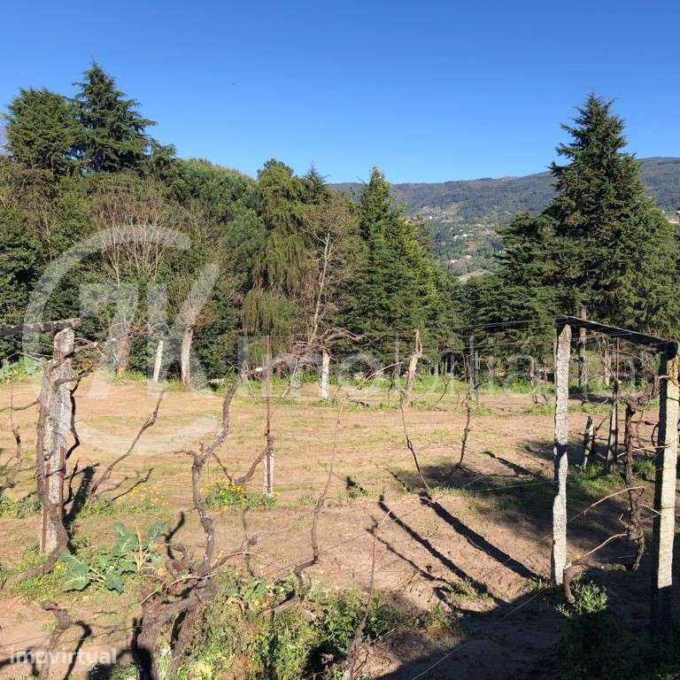Parcela de terreno para construção - Grande imagem: 3/7