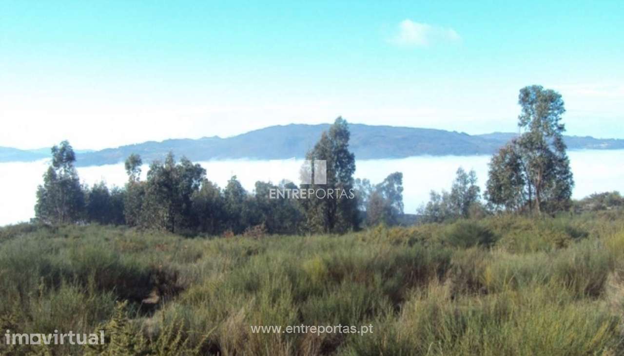 Venda Terreno, Santa Leocádia, Baião - Grande imagem: 5/12