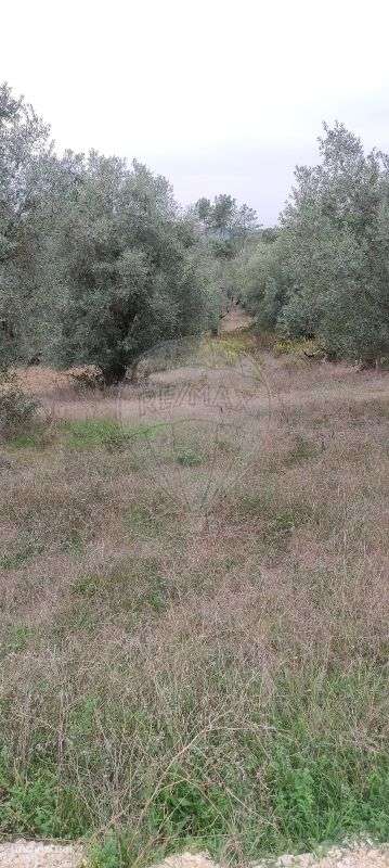 Terreno  para venda - Grande imagem: 2/5