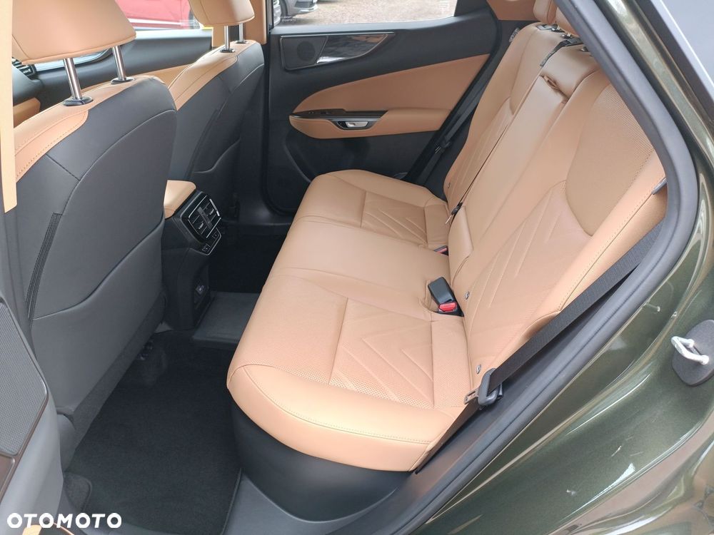 Lexus NX - 10
