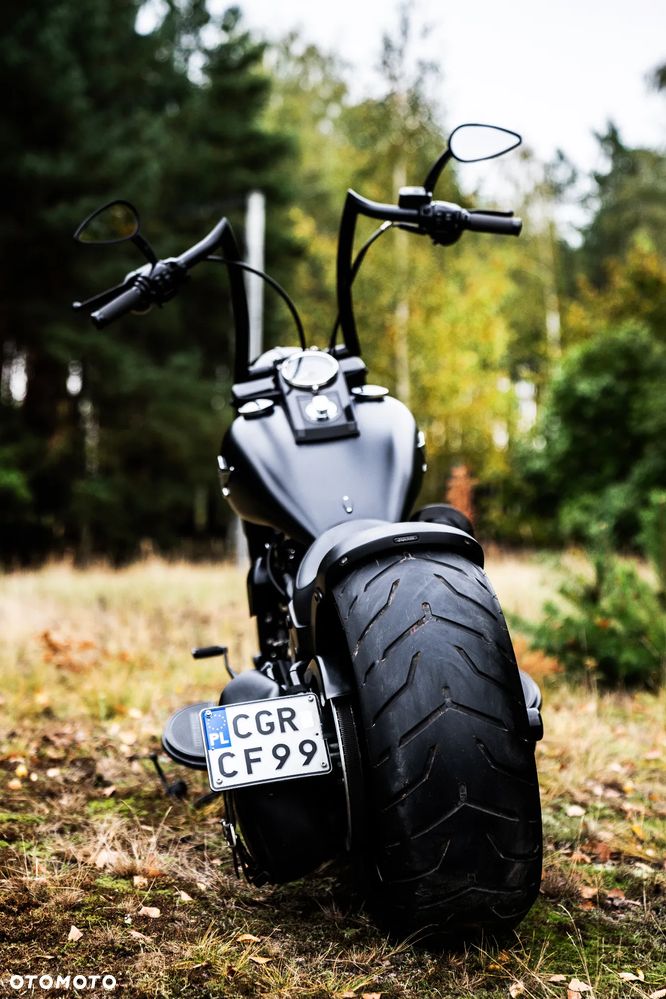 Harley-Davidson Softail Custom - 6