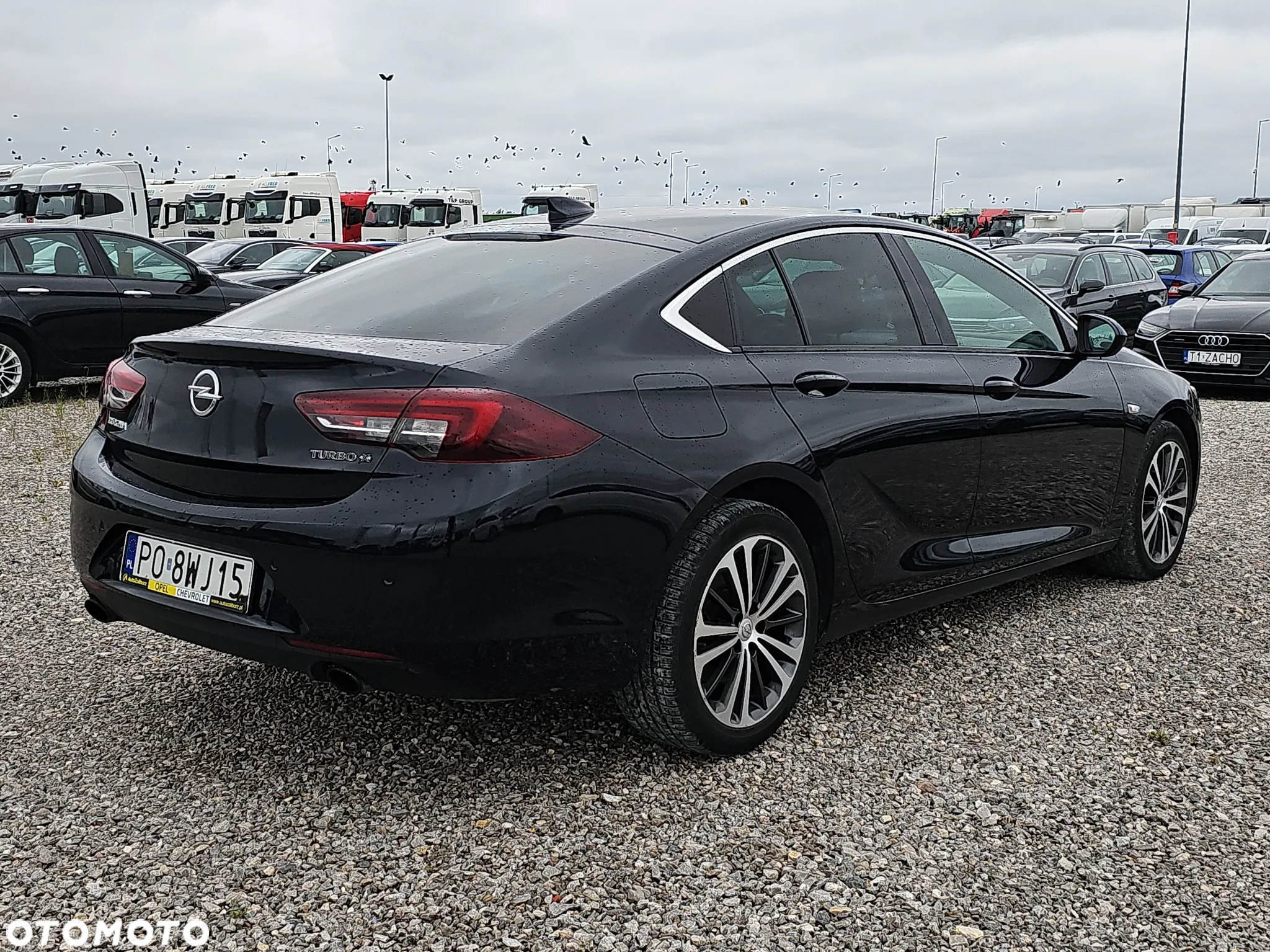 Opel Insignia 2.0 T 4x4 Innovation S&S - 5