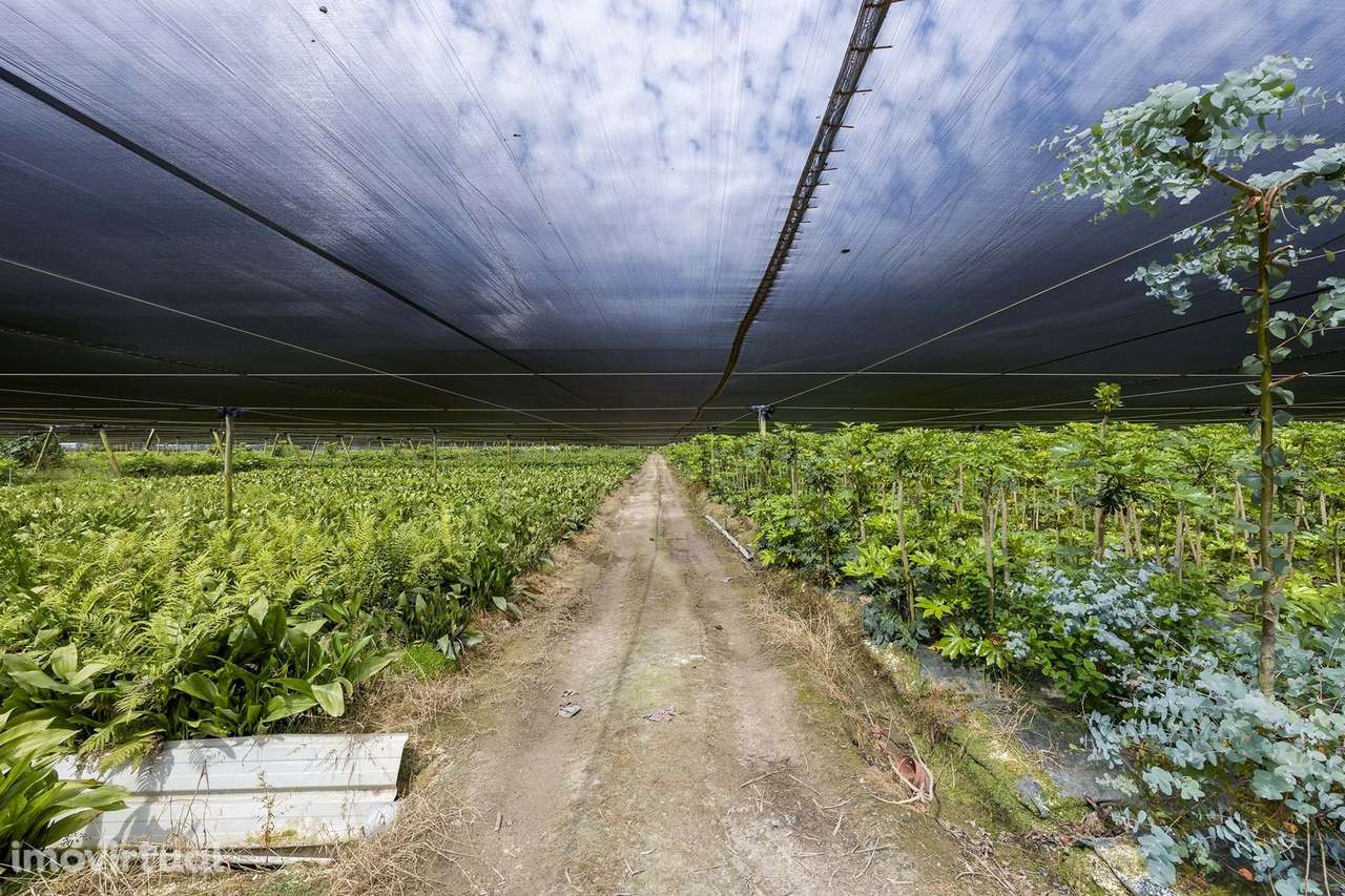 EMPRESA AGRÍCOLA PARA VENDA NO PARQUE NATURAL - Grande imagem: 3/17