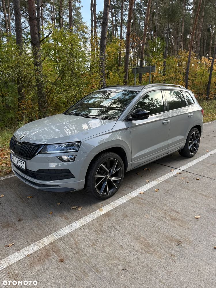 Skoda Karoq 2.0 TSI 4x4 Sportline DSG - 18