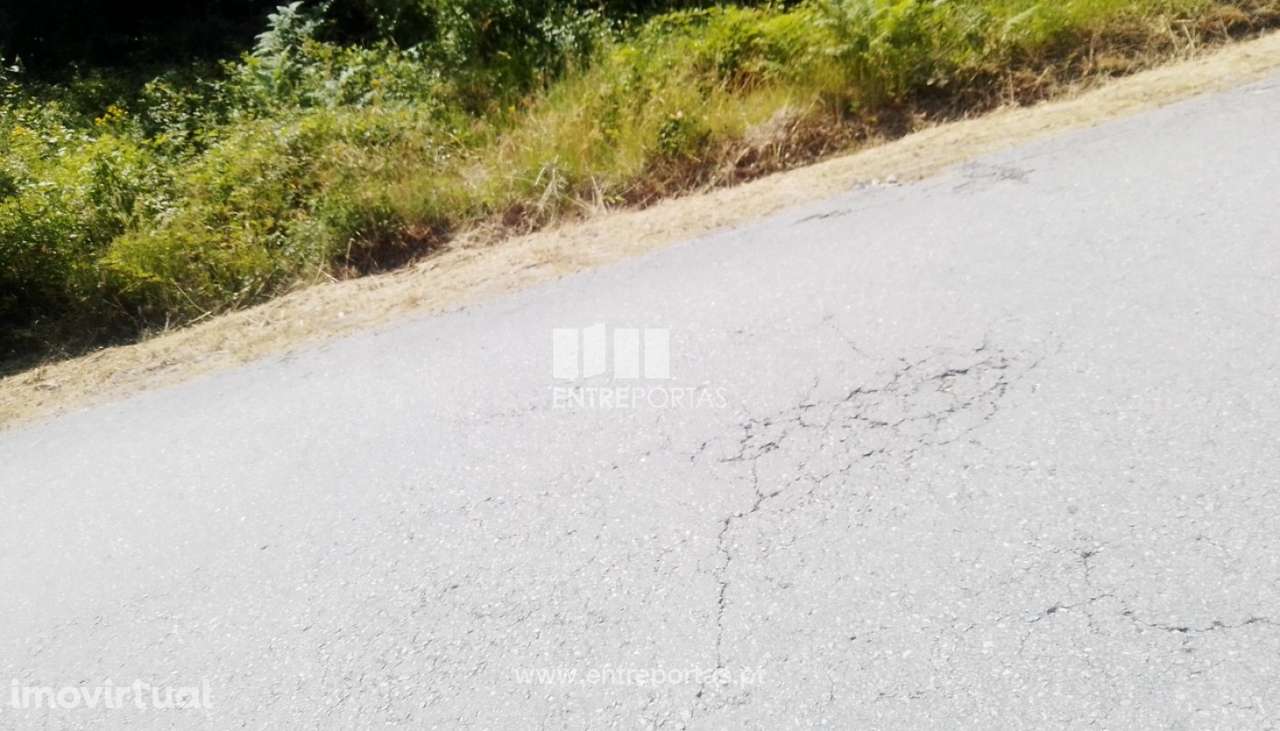 Venda Terreno, Tarouquela, Cinfães - Grande imagem: 3/45