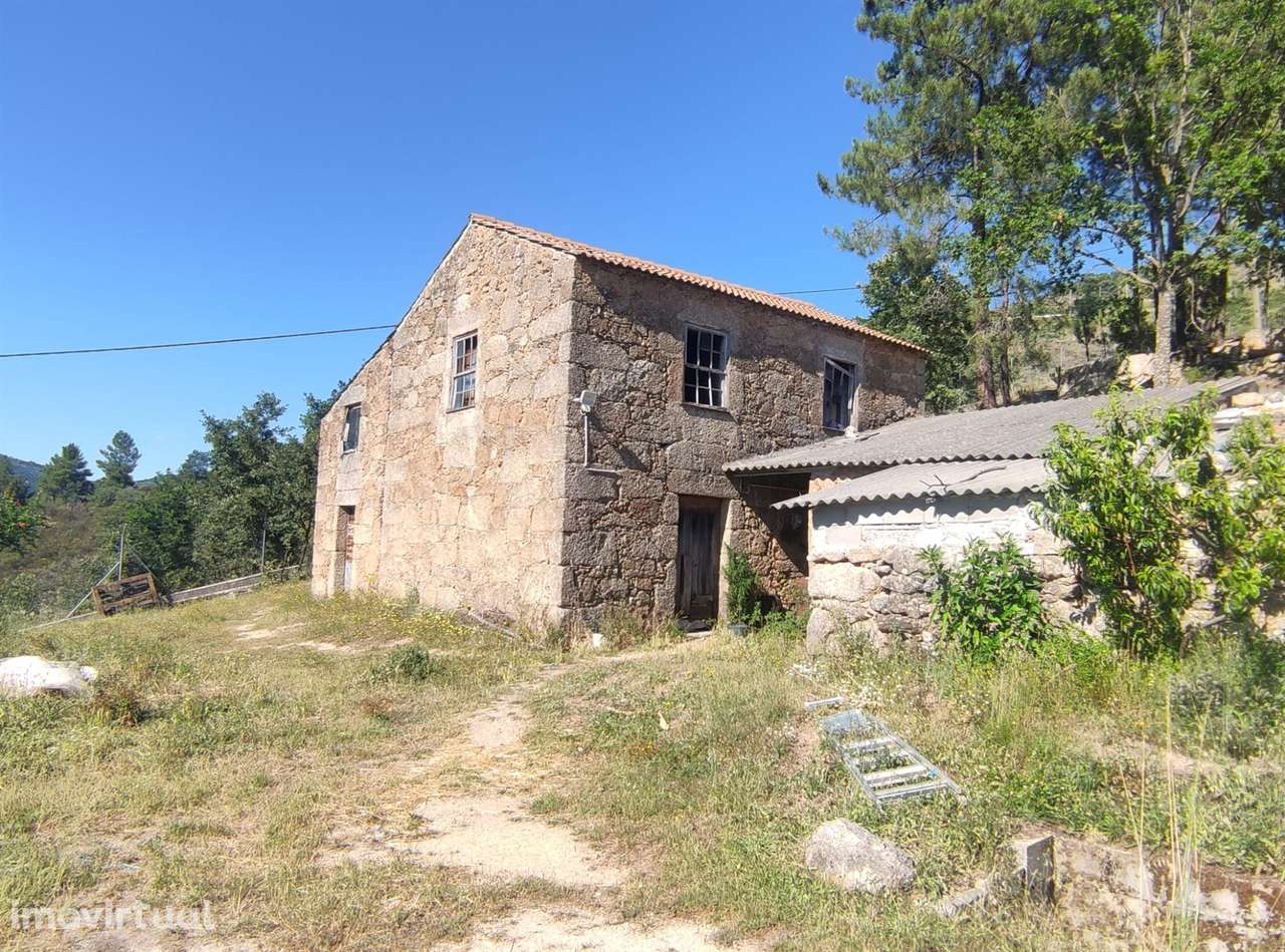 Quinta  Venda em Vela,Guarda - Grande imagem: 2/24