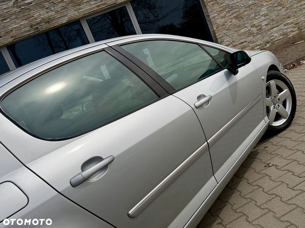Peugeot 407 - 25