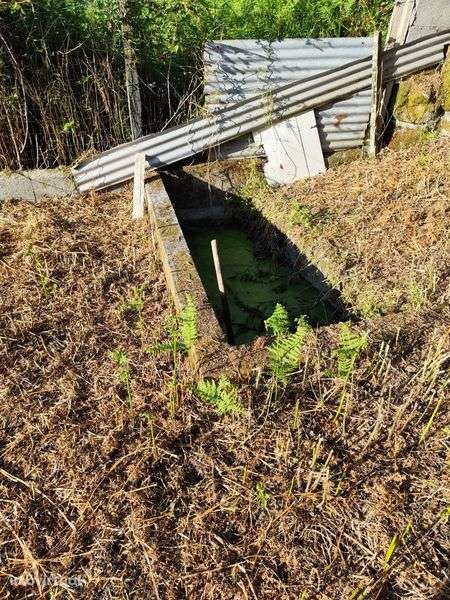 Terreno Rústico/Quintinha em Tondela - Grande imagem: 3/10