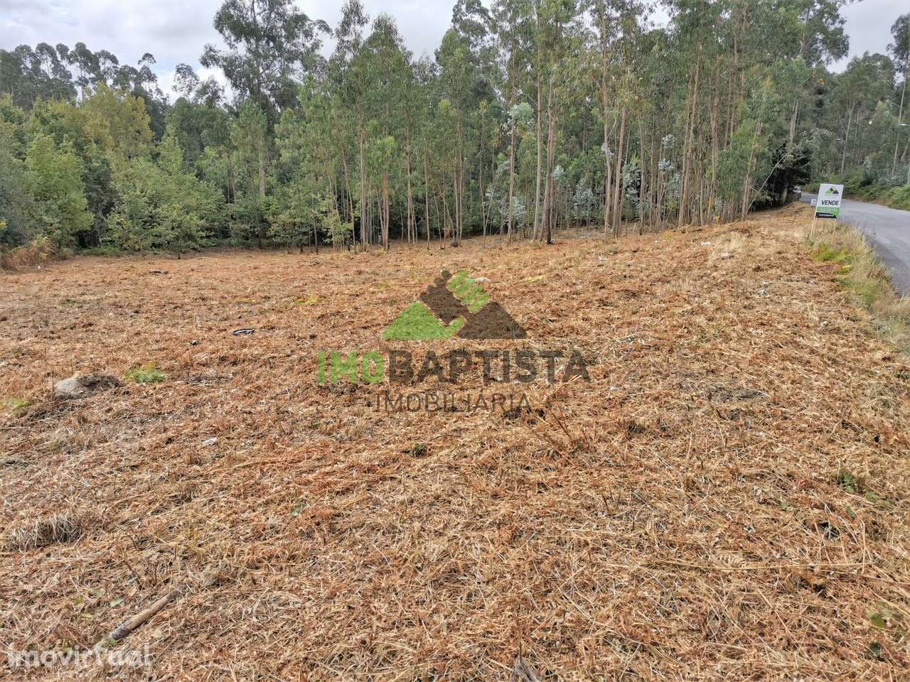 Terreno p/construção em Lobão - Grande imagem: 2/12