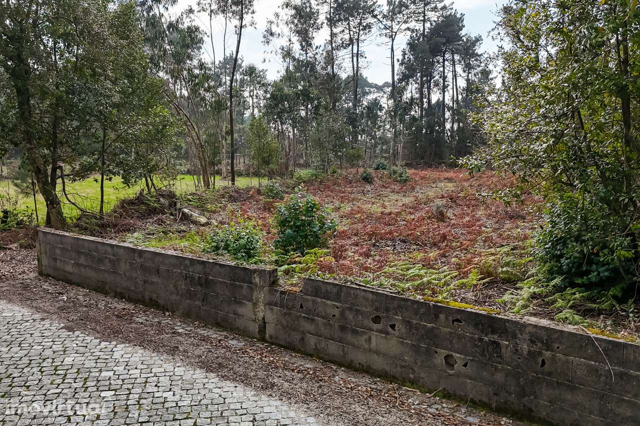 Terreno  Venda em Esposende, Marinhas e Gandra,Esposende - Grande imagem: 4/9