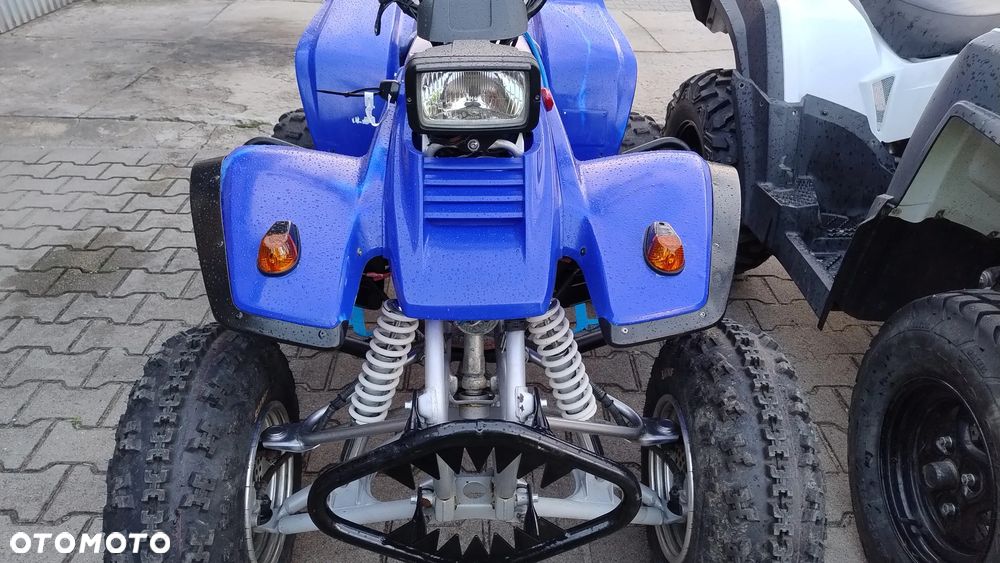Yamaha Warrior - 13