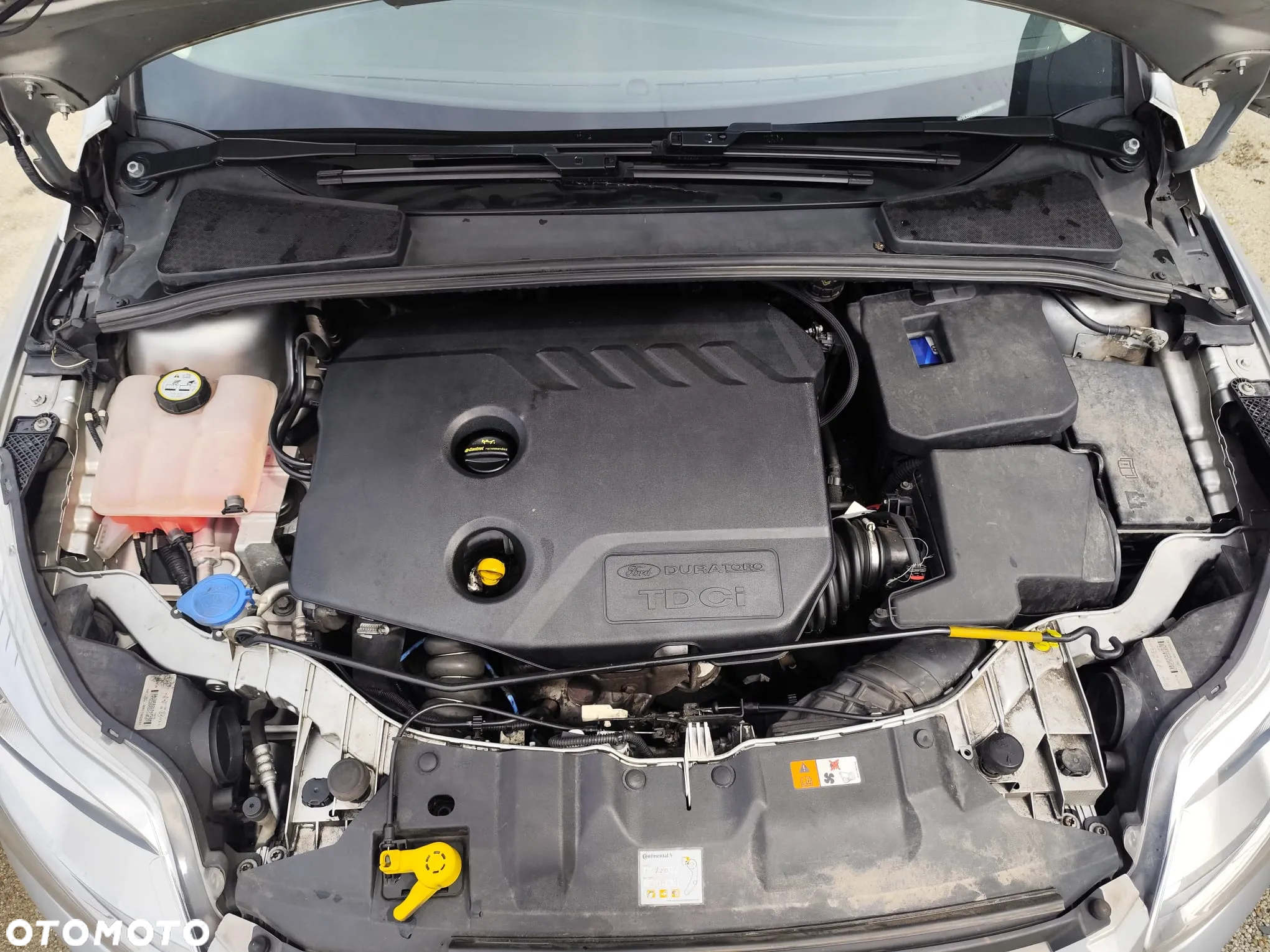 Ford Focus 1.6 TDCi DPF Champions Edition - 17