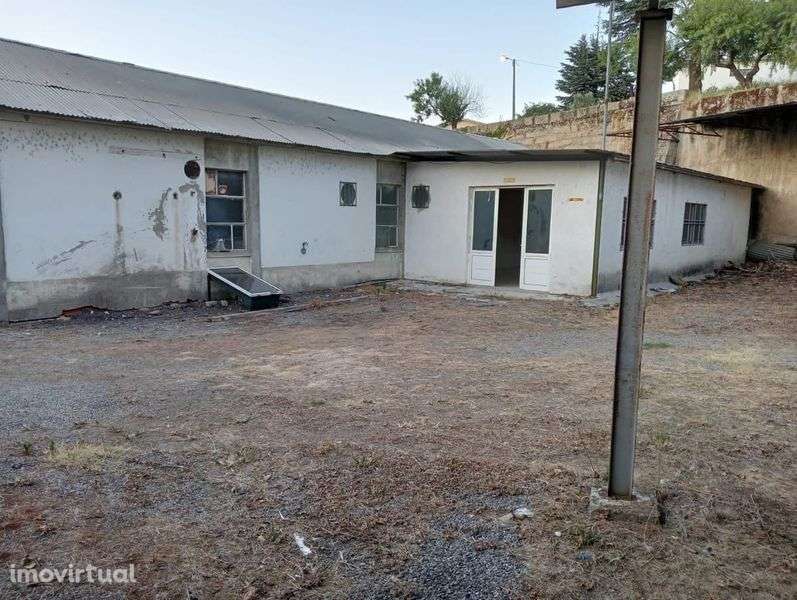 Alugo / vendo armazém situado no Cachao a 10 minutos de Mirandela - Grande imagem: 5/6