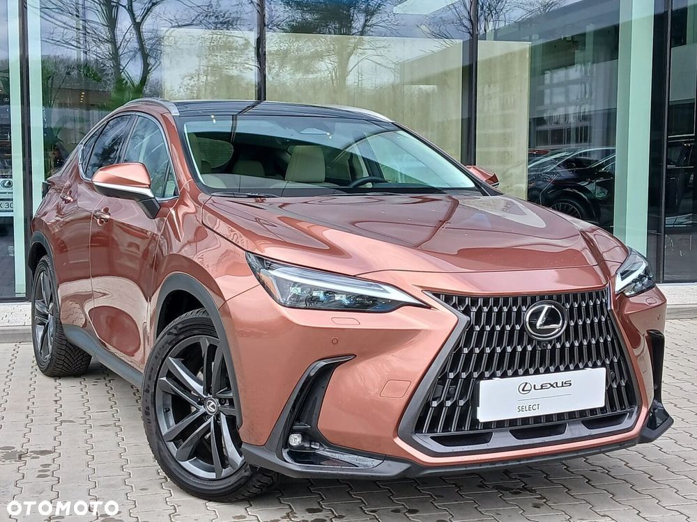 Lexus NX - 12
