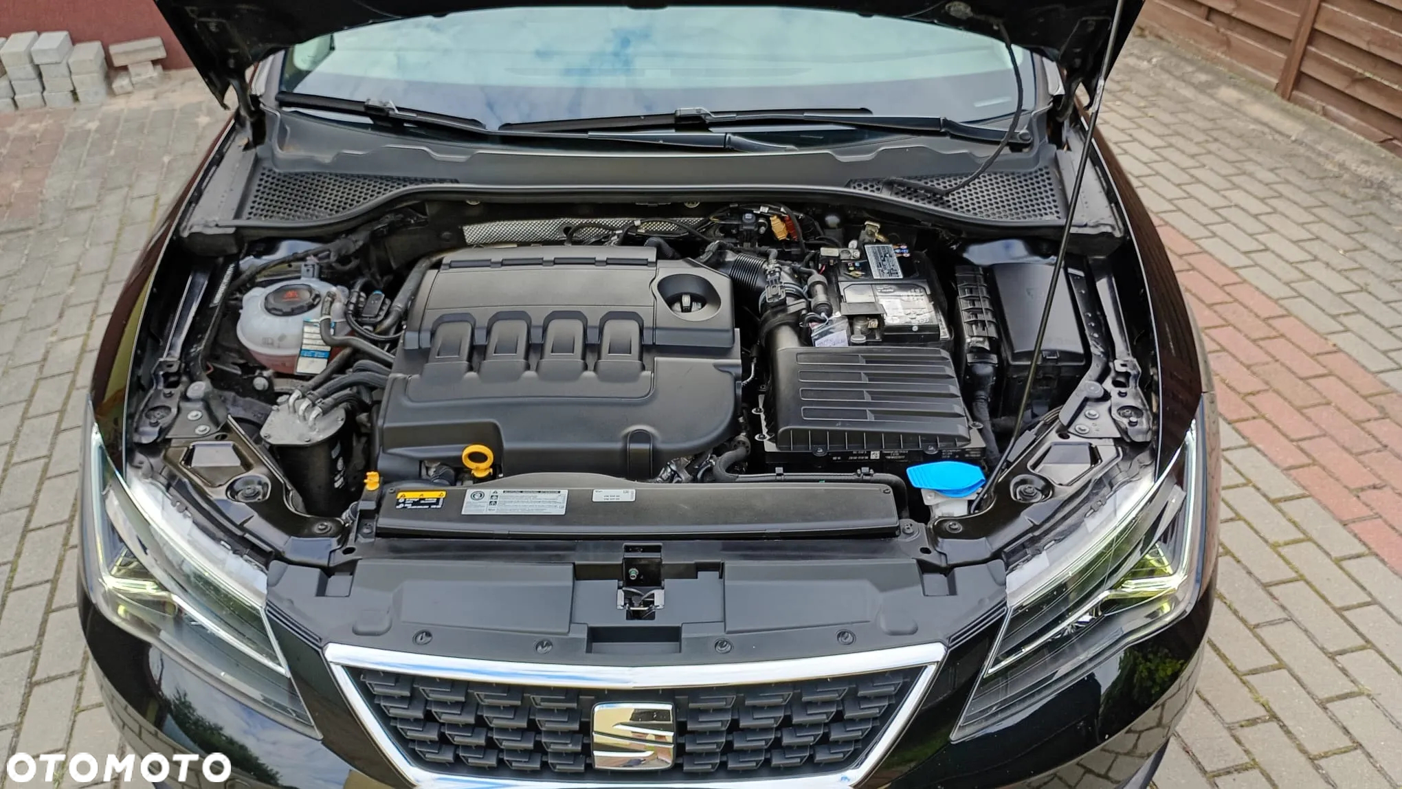 Seat Leon - 31