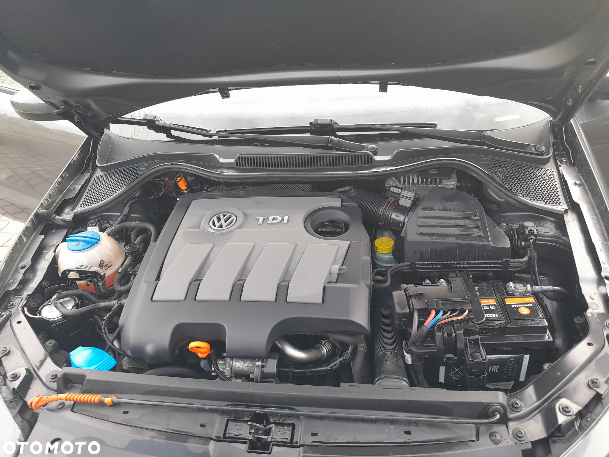 Volkswagen Polo 1.6 TDI Blue Motion Style - 24