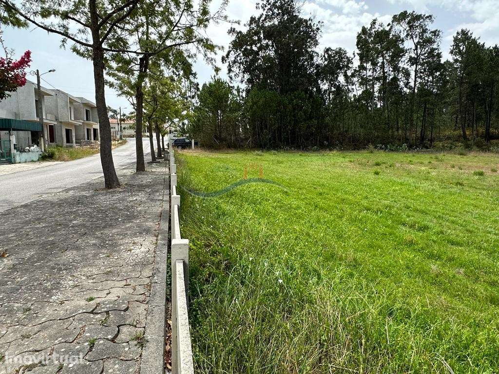 Terreno - Segodim - Grande imagem: 2/21