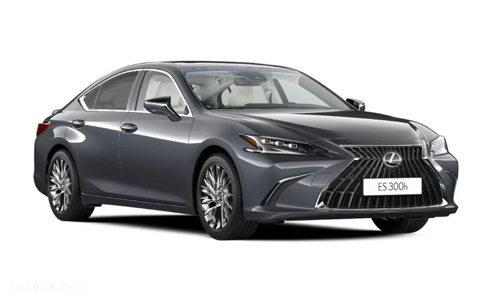 Lexus ES 300h Omotenashi - 4