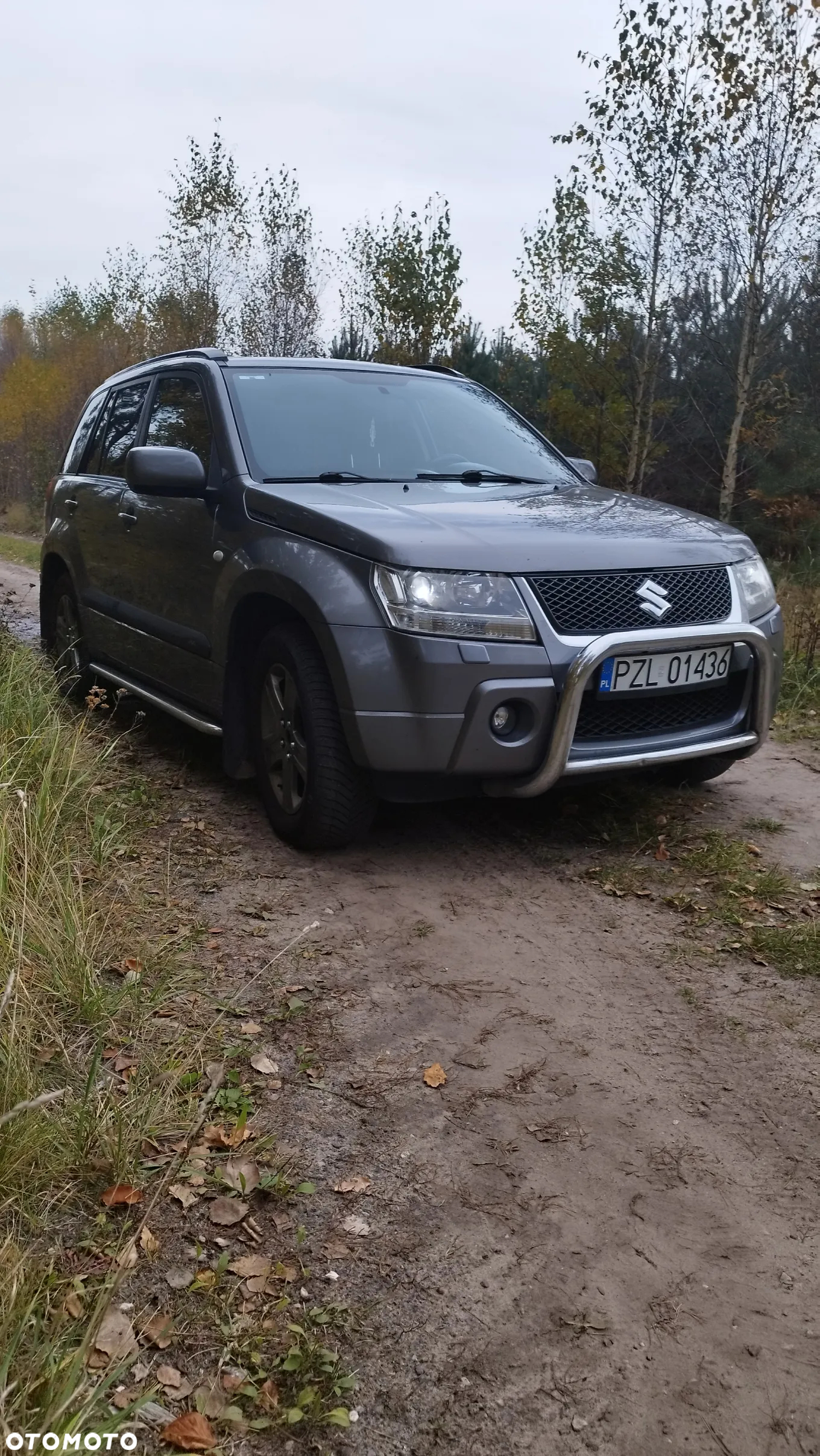 Suzuki Grand Vitara - 2