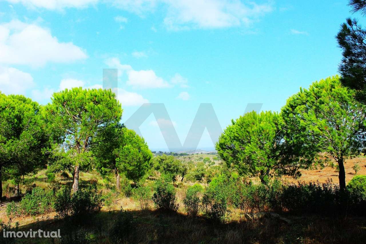 Herdade Exclusiva em Grândola: 35 Hectares, Vistas 360º e Viabilidade - Grande imagem: 5/40