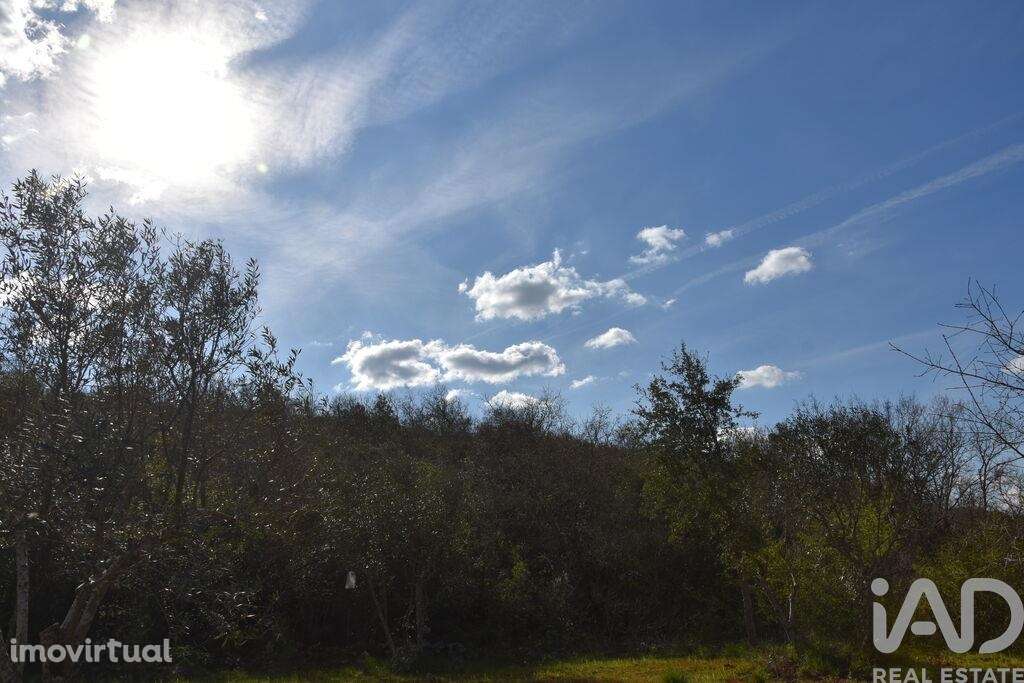 Terreno Agrícola em Chãos - Grande imagem: 5/27