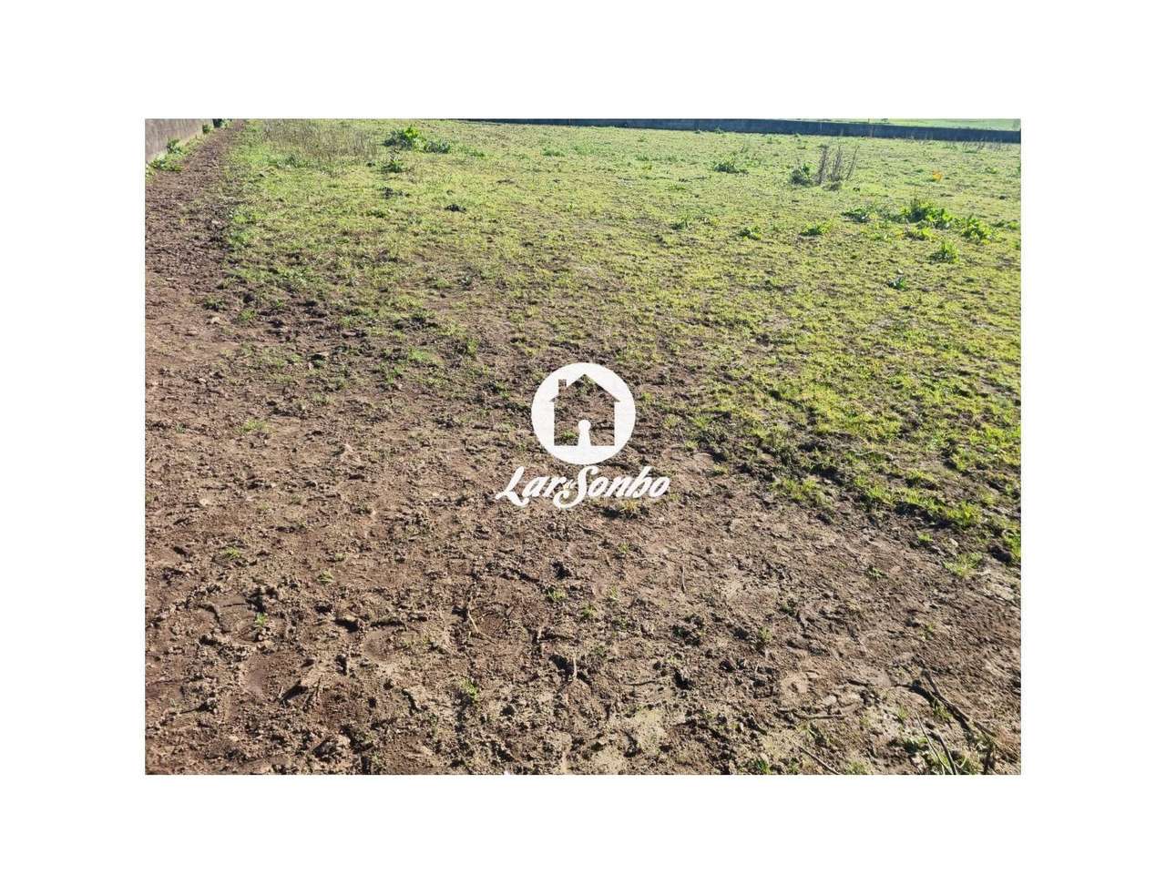 Terreno para construção de Moradia em Apúlia - Grande imagem: 5/14