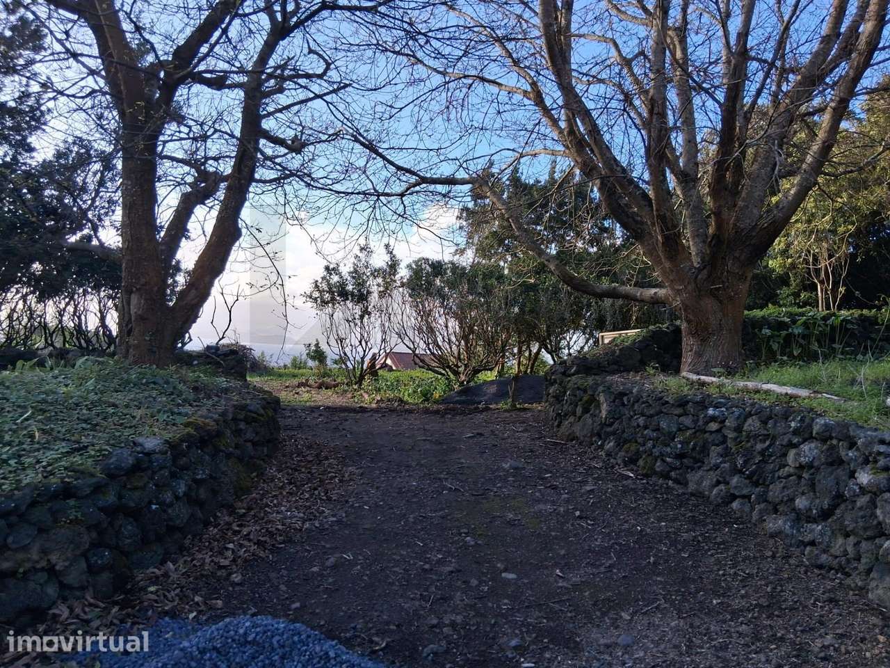 Luxo Minimalista em Valverde, Ilha do Pico – Vista Eterna e Projeto Ap - Grande imagem: 3/19