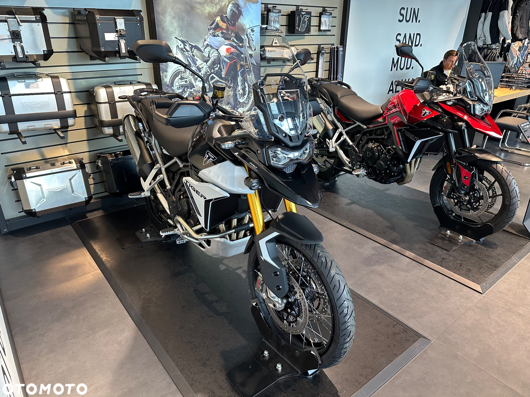 Triumph Tiger - 3