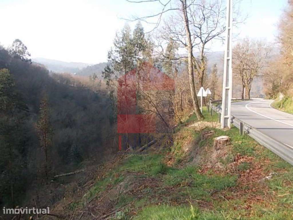Terreno, Covas - Grande imagem: 2/9